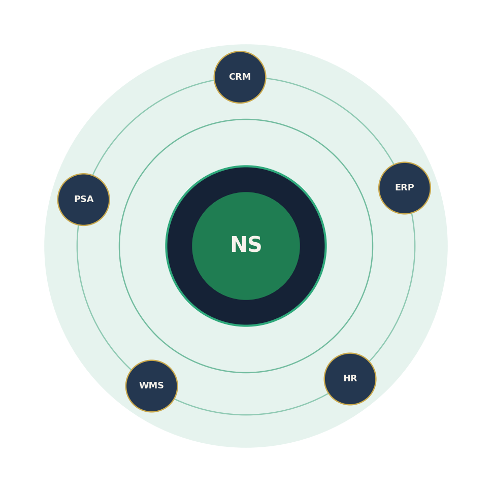 Abstract NetSuite platform illustration