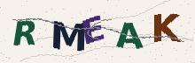Security code: distorted letters and numbers. Use the New code button if you cannot read it.